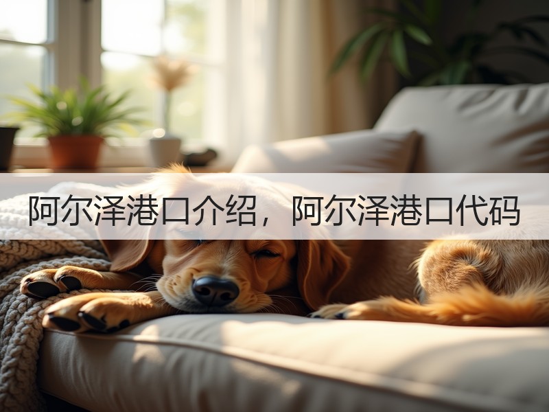 阿尔泽港口介绍，阿尔泽港口代码