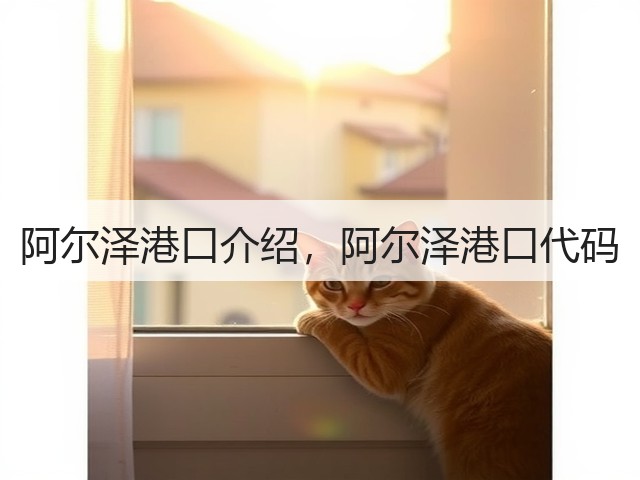 阿尔泽港口介绍,阿尔泽港口代码(图3) 阿尔泽港口介绍,阿尔泽港口代码(图3)