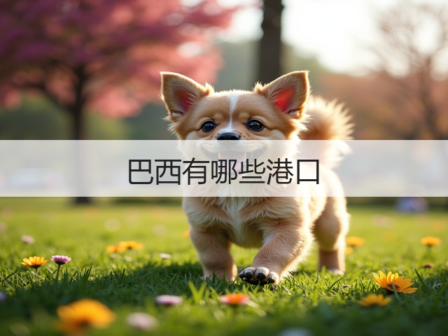 巴西有哪些港口(图1)