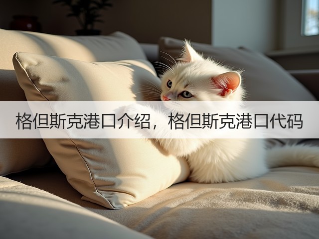 格但斯克港口介绍,格但斯克港口代码(图1) 格但斯克港口介绍,格但斯克港口代码(图1)