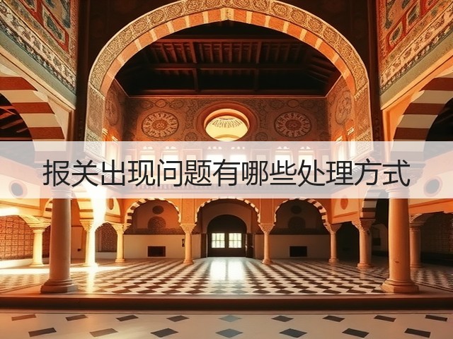 报关出现问题有哪些处理方式(图3)