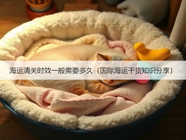 海运清关时效一般需要多久(国际海运干货知识分享)(图1) 海运清关时效一般需要多久(国际海运干货知识分享)(图1)