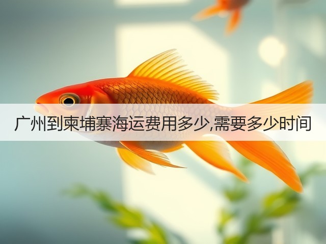 广州到柬埔寨海运费用多少,需要多少时间(图3)