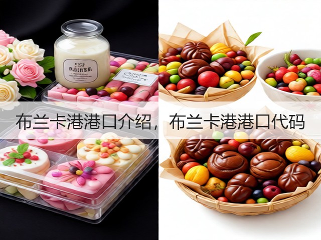 布兰卡港港口介绍,布兰卡港港口代码(图3) 布兰卡港港口介绍,布兰卡港港口代码(图3)