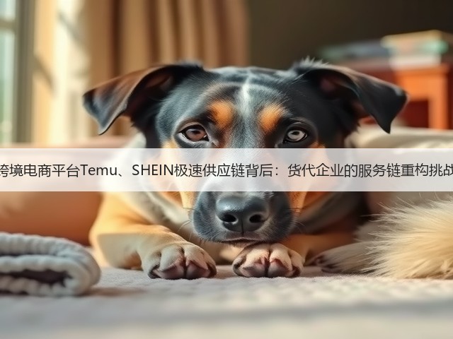 跨境电商平台Temu、SHEIN极速供应链背后:货代企业的服务链重构挑战(图2) 跨境电商平台Temu、SHEIN极速供应链背后:货代企业的服务链重构挑战(图2)