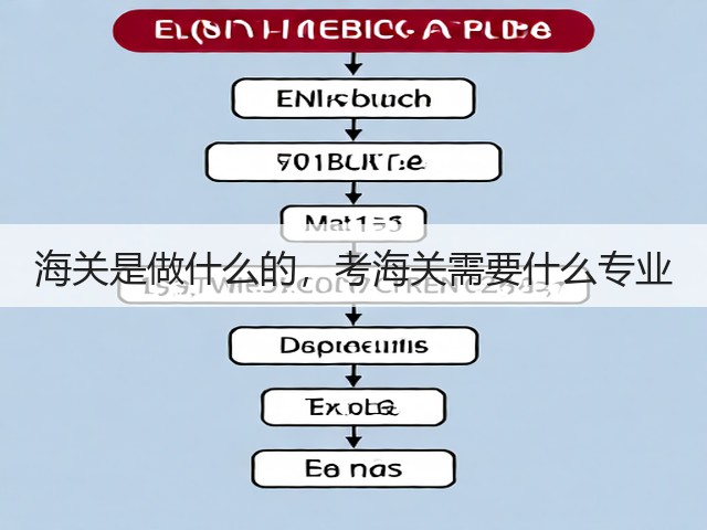 海关是做什么的，考海关需要什么专业(图3)
