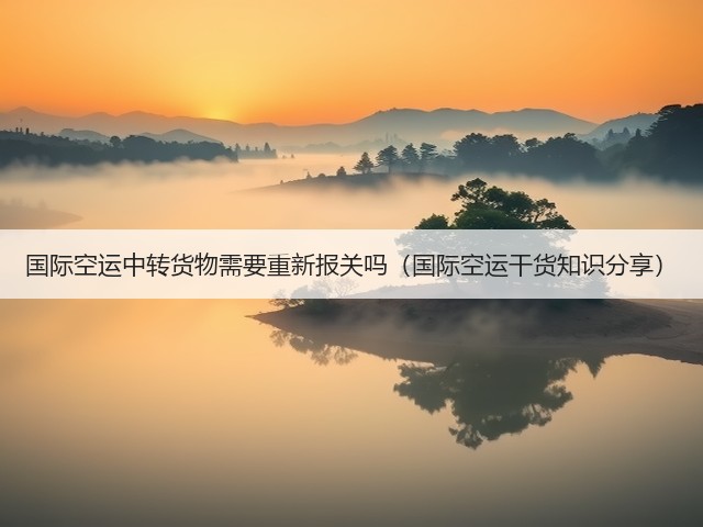 国际空运中转货物需要重新报关吗(国际空运干货知识分享)(图1) 国际空运中转货物需要重新报关吗(国际空运干货知识分享)(图1)