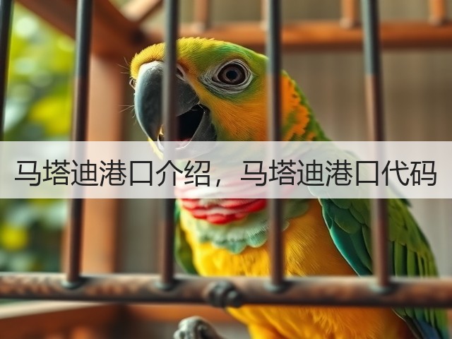 马塔迪港口介绍,马塔迪港口代码(图2) 马塔迪港口介绍,马塔迪港口代码(图2)