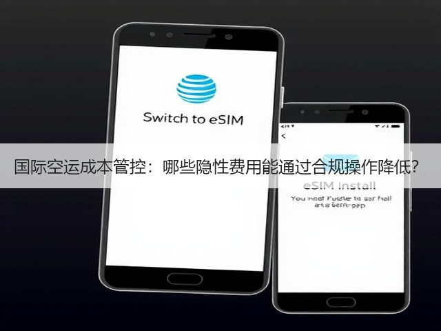 国际空运成本管控：哪些隐性费用能通过合规操作降低？(图2)