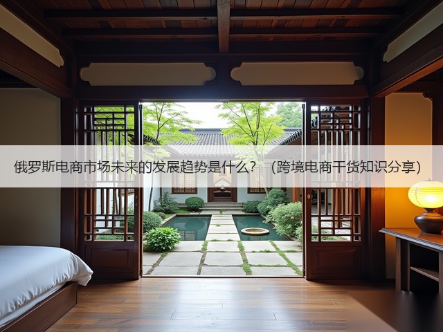 俄罗斯电商市场未来的发展趋势是什么？（跨境电商干货知识分享）(图1)