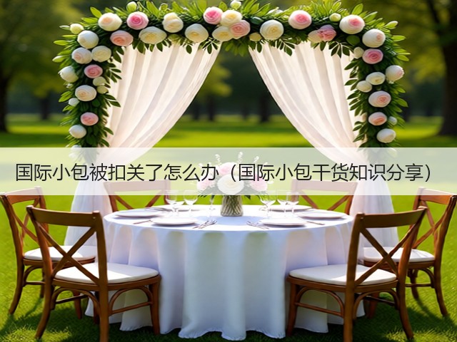 国际小包被扣关了怎么办(国际小包干货知识分享)(图3) 国际小包被扣关了怎么办(国际小包干货知识分享)(图3)