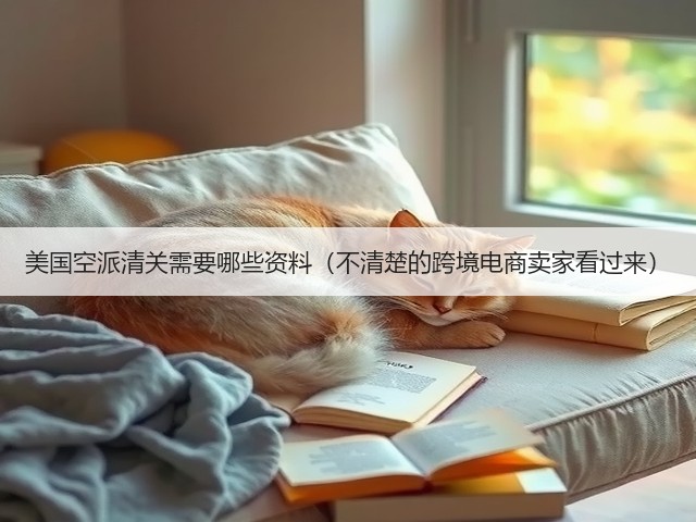 美国空派清关需要哪些资料(不清楚的跨境电商卖家看过来)(图3) 美国空派清关需要哪些资料(不清楚的跨境电商卖家看过来)(图3)