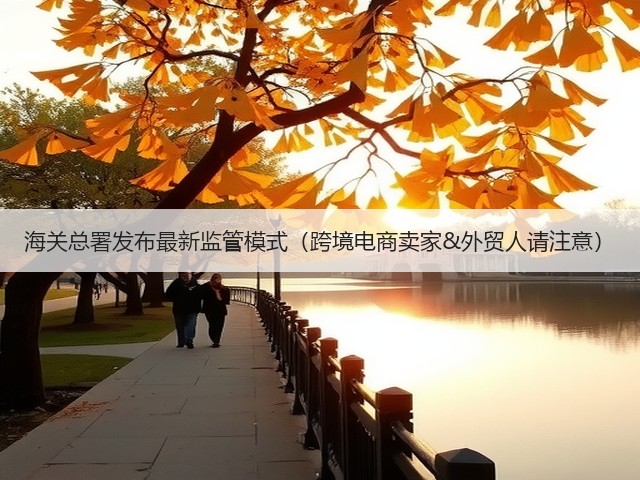 海关总署发布最新监管模式（跨境电商卖家&外贸人请注意）(图3)