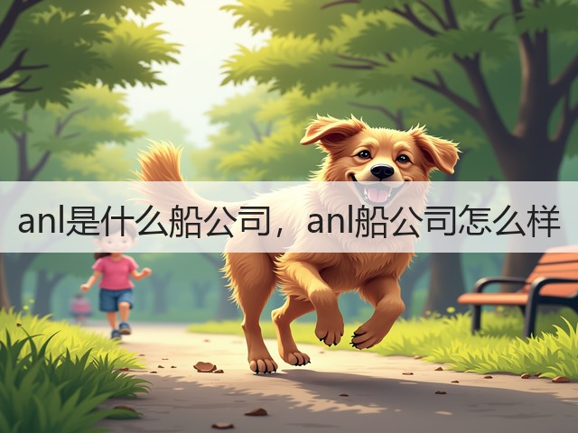 anl是什么船公司，anl船公司怎么样(图2)