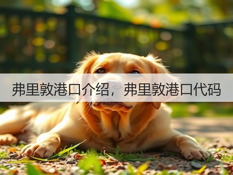 弗里敦港口介绍,弗里敦港口代码 弗里敦港口介绍,弗里敦港口代码