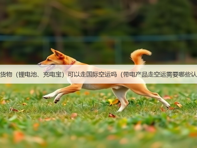 带电货物（锂电池、充电宝）可以走国际空运吗（带电产品走空运需要哪些认证）(图3)