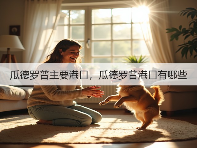 瓜德罗普主要港口,瓜德罗普港口有哪些(图2) 瓜德罗普主要港口,瓜德罗普港口有哪些(图2)