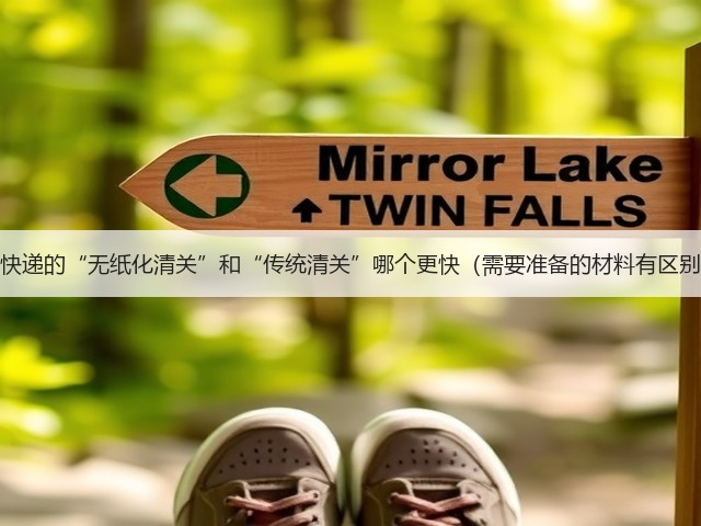 国际快递的“无纸化清关”和“传统清关”哪个更快（需要准备的材料有区别吗）(图2)