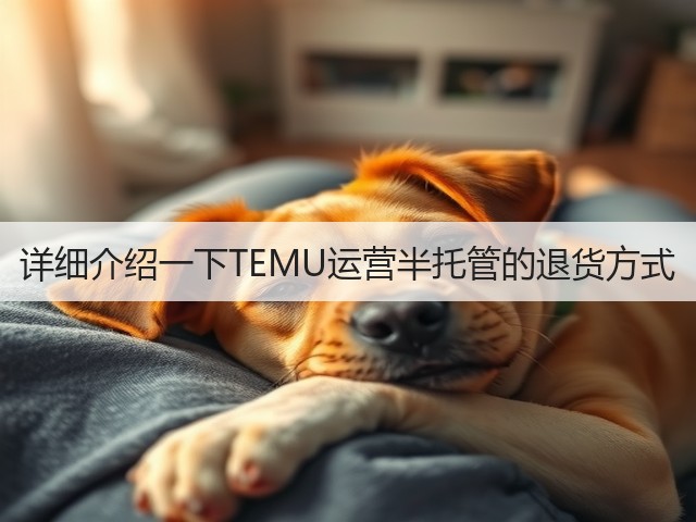 详细介绍一下TEMU运营半托管的退货方式(图1)