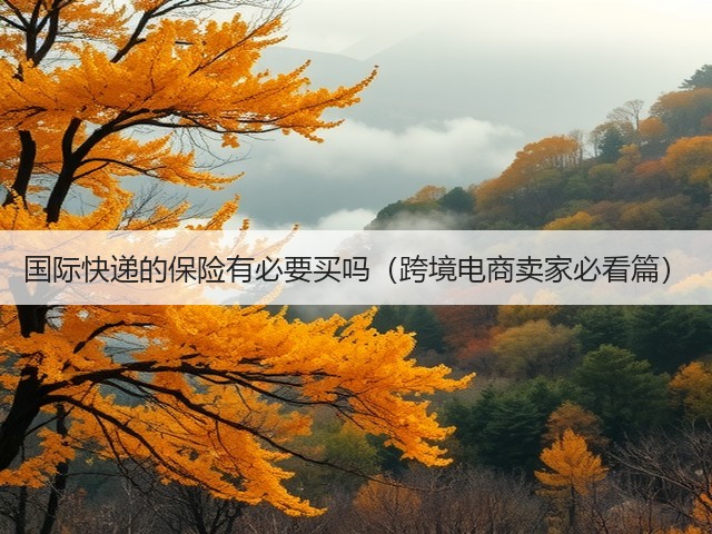 国际快递的保险有必要买吗（跨境电商卖家必看篇）(图3)