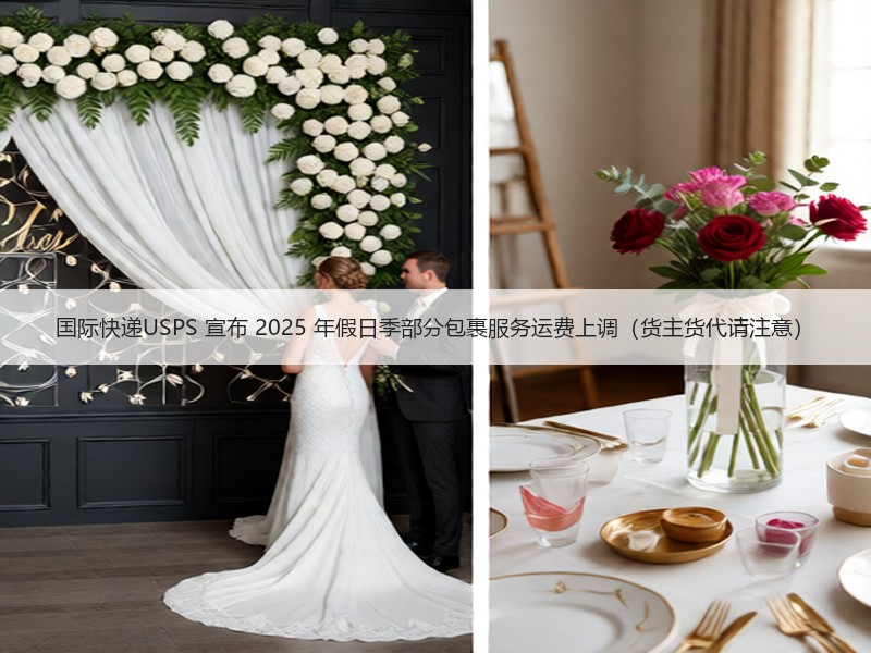 国际快递USPS 宣布 2025 年假日季部分包裹服务运费上调（货主货代请注意）