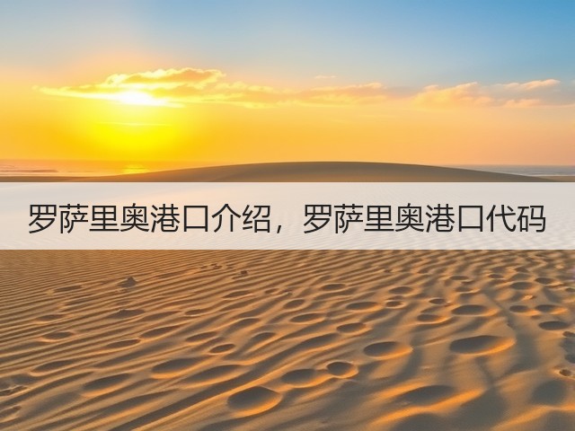 罗萨里奥港口介绍，罗萨里奥港口代码(图3)