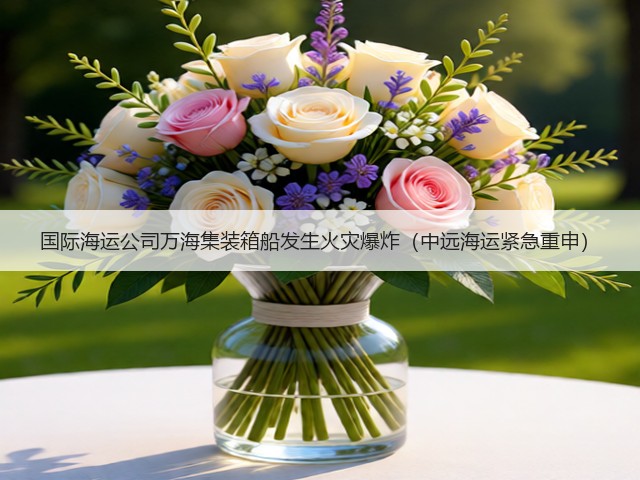 国际海运公司万海集装箱船发生火灾爆炸(中远海运紧急重申)(图3) 国际海运公司万海集装箱船发生火灾爆炸(中远海运紧急重申)(图3)