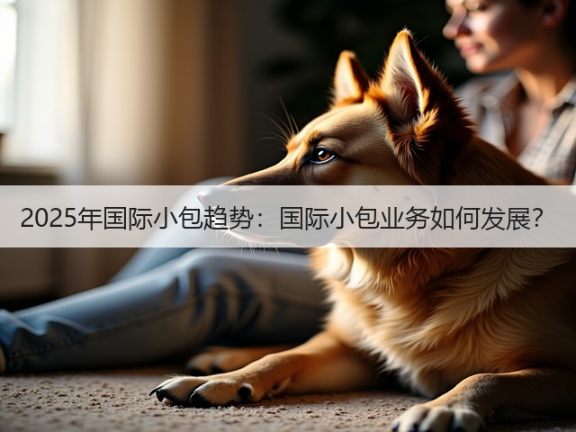 2025年国际小包趋势：国际小包业务如何发展？(图3)
