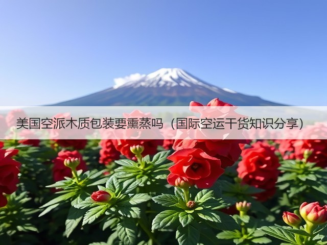 美国空派木质包装要熏蒸吗（国际空运干货知识分享）(图3)