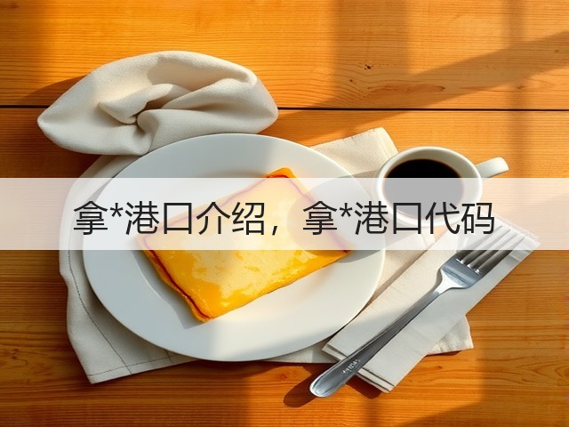 拿*港口介绍，拿*港口代码(图2)