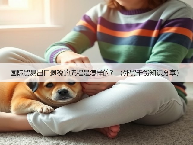 国际贸易出口退税的流程是怎样的?(外贸干货知识分享)(图3) 国际贸易出口退税的流程是怎样的?(外贸干货知识分享)(图3)