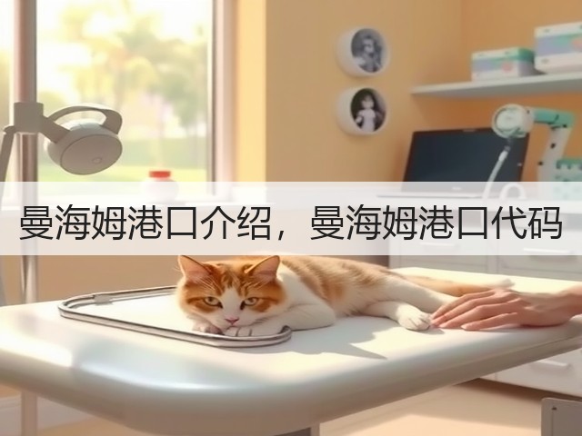 曼海姆港口介绍，曼海姆港口代码(图1)