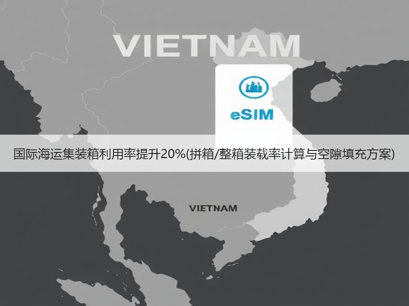 国际海运集装箱利用率提升20%(拼箱/整箱装载率计算与空隙填充方案)