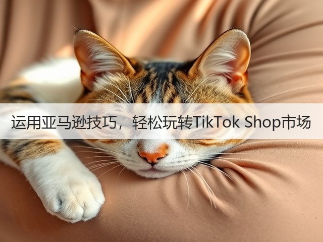 运用亚马逊技巧，轻松玩转TikTok Shop市场(图3)