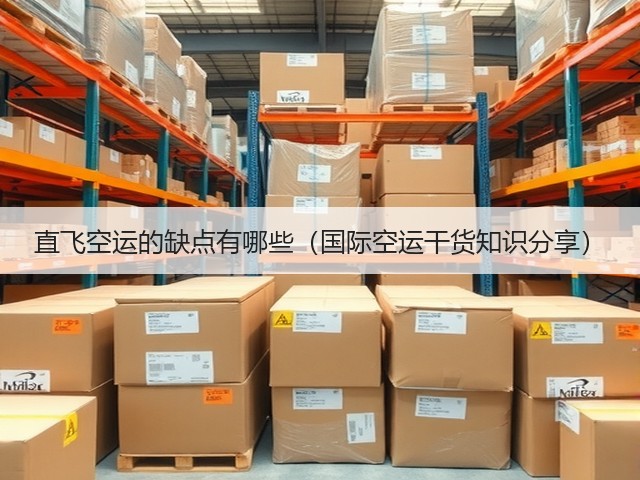 直飞空运的缺点有哪些（国际空运干货知识分享）(图2)