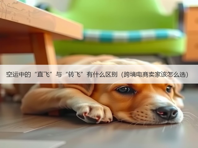 空运中的“直飞”与“转飞”有什么区别(跨境电商卖家该怎么选)(图2) 空运中的“直飞”与“转飞”有什么区别(跨境电商卖家该怎么选)(图2)