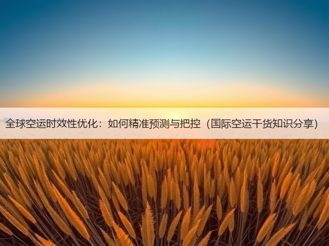 全球空运时效性优化：如何精准预测与把控（国际空运干货知识分享）(图2)