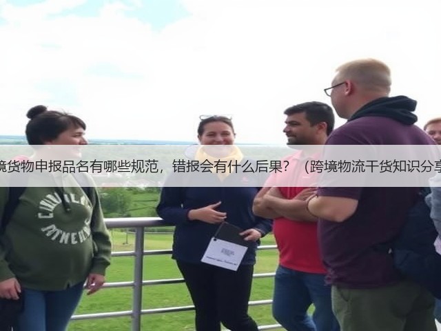 跨境货物申报品名有哪些规范，错报会有什么后果？（跨境物流干货知识分享）(图3)