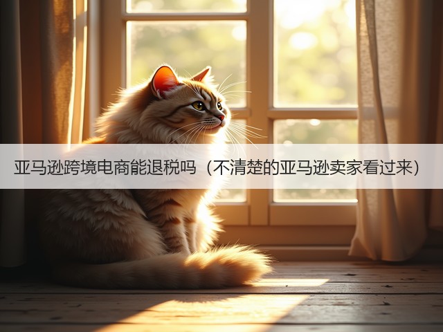 亚马逊跨境电商能退税吗（不清楚的亚马逊卖家看过来）(图3)