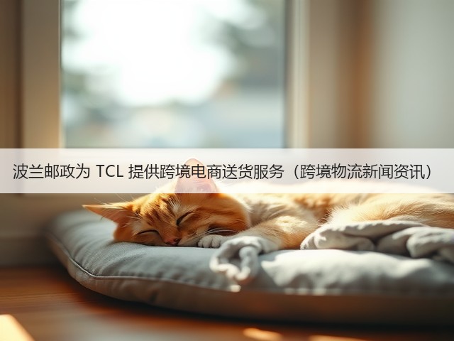 波兰邮政为 TCL 提供跨境电商送货服务(跨境物流新闻资讯)(图3) 波兰邮政为 TCL 提供跨境电商送货服务(跨境物流新闻资讯)(图3)