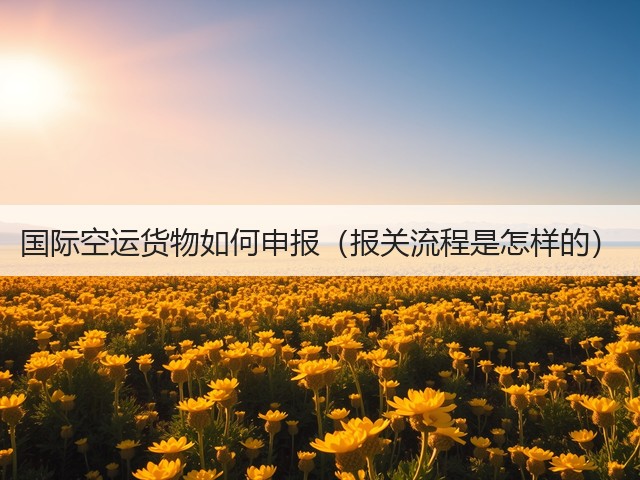 国际空运货物如何申报(报关流程是怎样的)(图2) 国际空运货物如何申报(报关流程是怎样的)(图2)