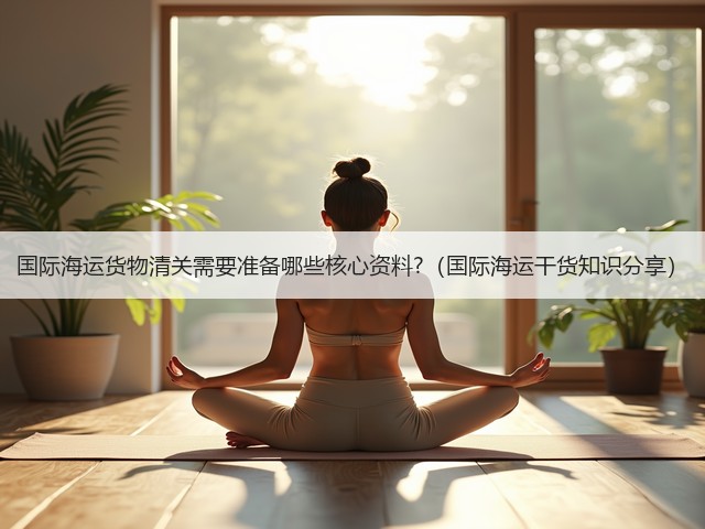 国际海运货物清关需要准备哪些核心资料?（国际海运干货知识分享）(图3)