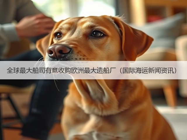 全球最大船司有意收购欧洲最大造船厂（国际海运新闻资讯）(图3)