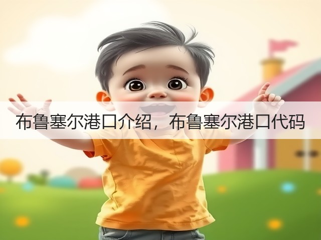 布鲁塞尔港口介绍，布鲁塞尔港口代码(图1)