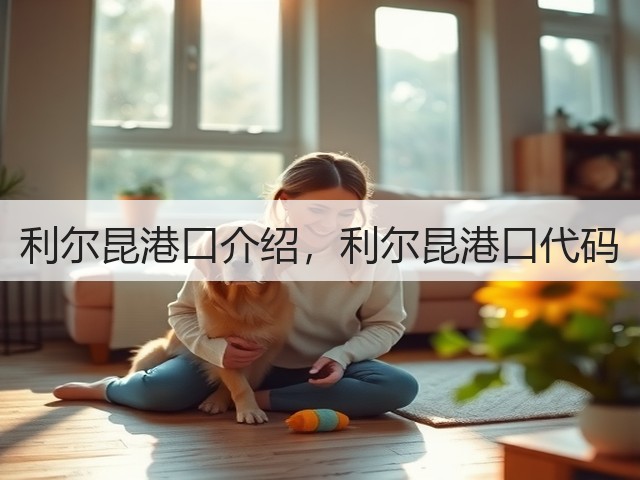 利尔昆港口介绍,利尔昆港口代码(图1) 利尔昆港口介绍,利尔昆港口代码(图1)