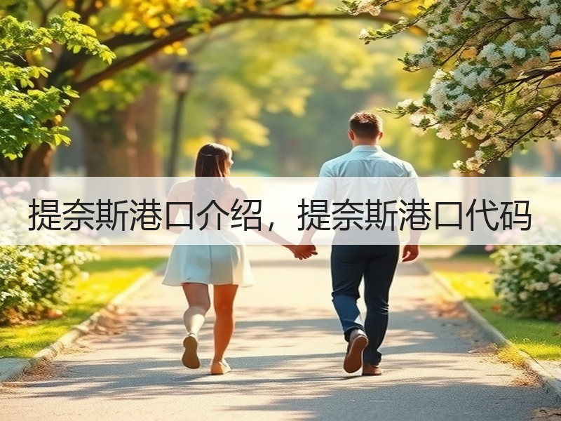 提奈斯港口介绍，提奈斯港口代码