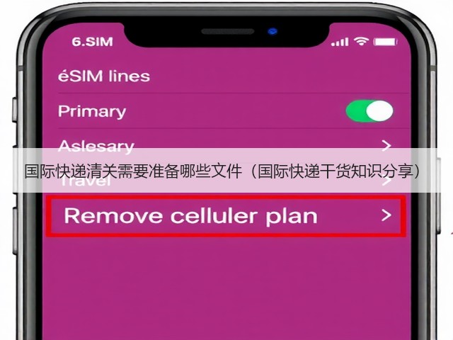 国际快递清关需要准备哪些文件（国际快递干货知识分享）(图1)
