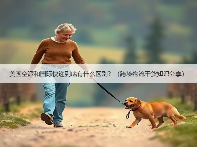 美国空派和国际快递到底有什么区别?(跨境物流干货知识分享)(图3) 美国空派和国际快递到底有什么区别?(跨境物流干货知识分享)(图3)