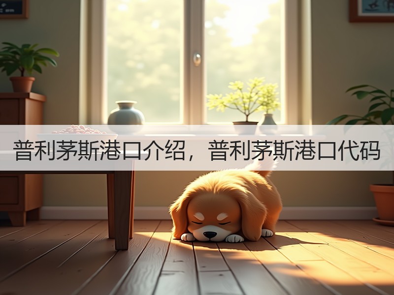 普利茅斯港口介绍，普利茅斯港口代码