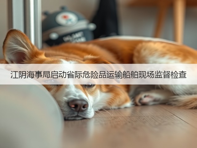 江阴海事局启动省际危险品运输船舶现场监督检查(图1) 江阴海事局启动省际危险品运输船舶现场监督检查(图1)
